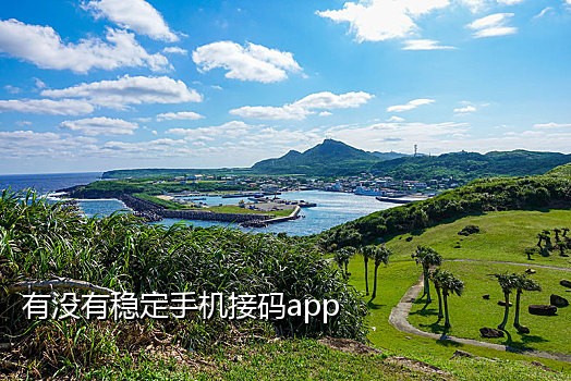 任意输入手机号接码器
