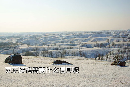 苹果手机接不到验证码了