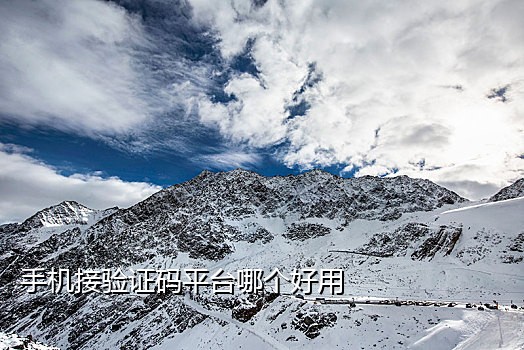 苹果手机短信接码平台