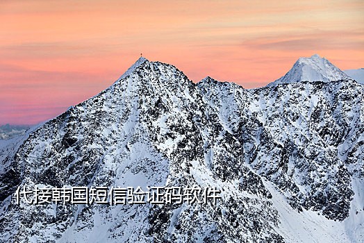接码平台手机破解版