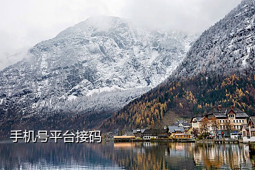 那个接码平台可以注册qq