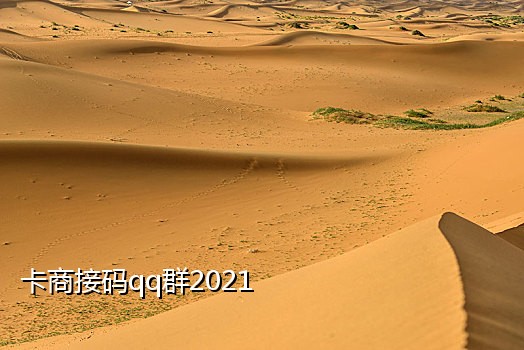 陌陌短信接码平台