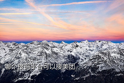 接码平台手机版2020
