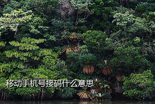 美团新人接码