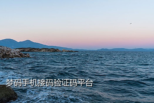 美团免费无限接码平台