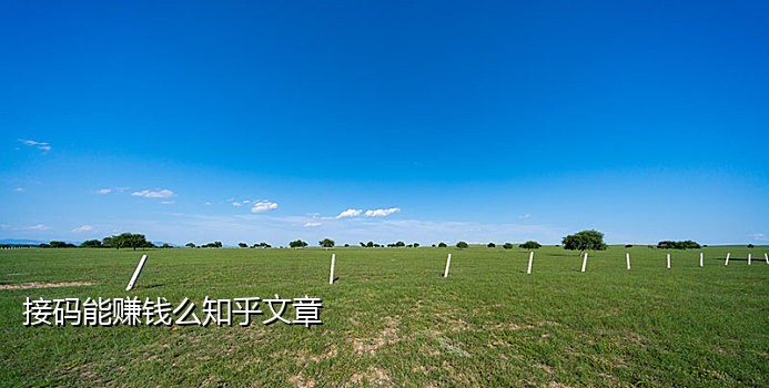 美团老用户接码是什么