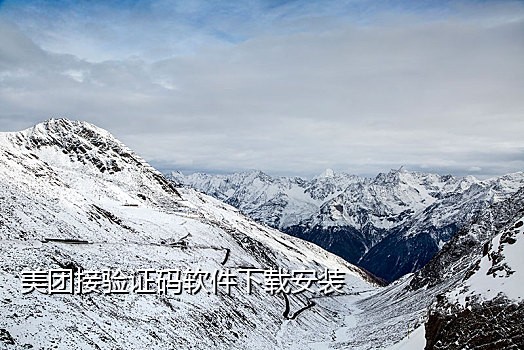 美团接不了语音验证码
