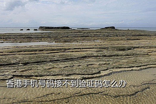 麦子短信接码平台