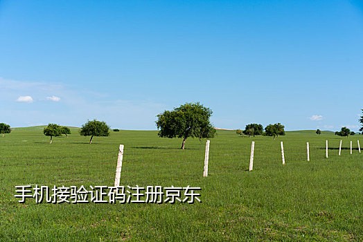 联通手机接不到短信验证码