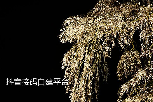 老年机接码注册抖音犯法吗