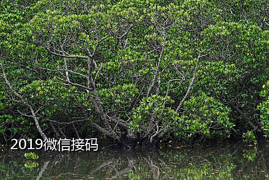 快手老用户接码