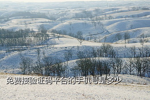 快手接码注册平台