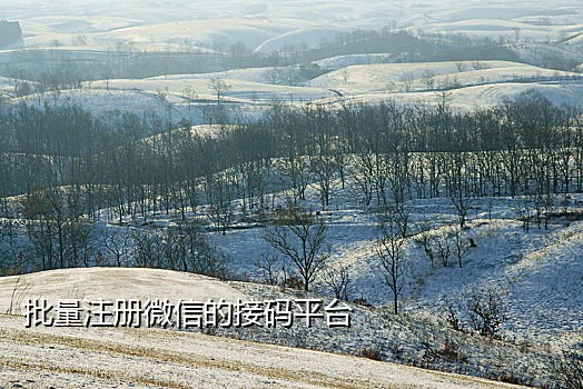 可以注册淘宝的接码平台