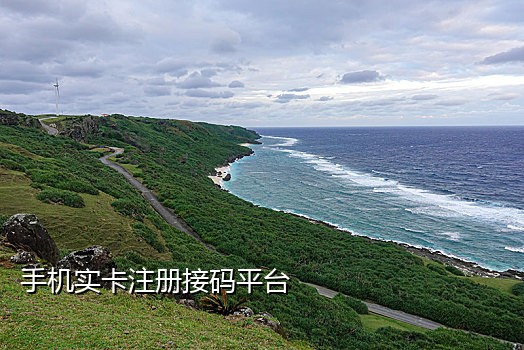 接码平台发给个人短信