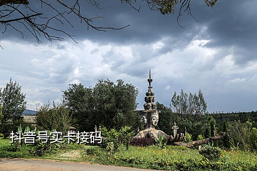 今日头条接码号