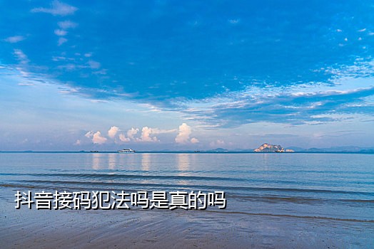 接验证码专用手机卡