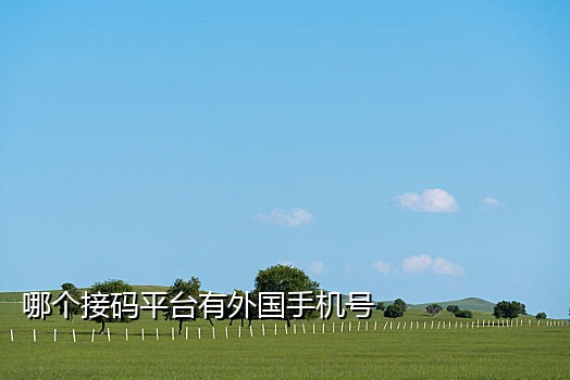 接验证码平台的手机号码
