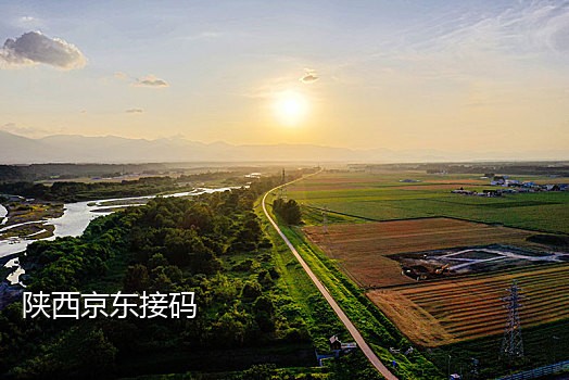 接收短信接码平台