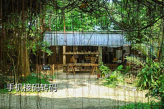 接码需要多少手机
