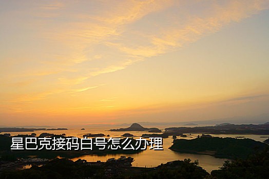 接码软件手机软件