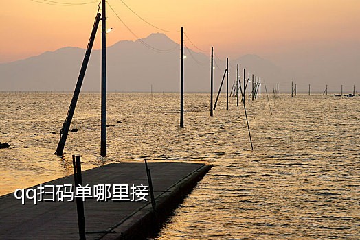 接码平台手机版20186