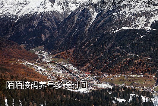 接码平台接微信登录