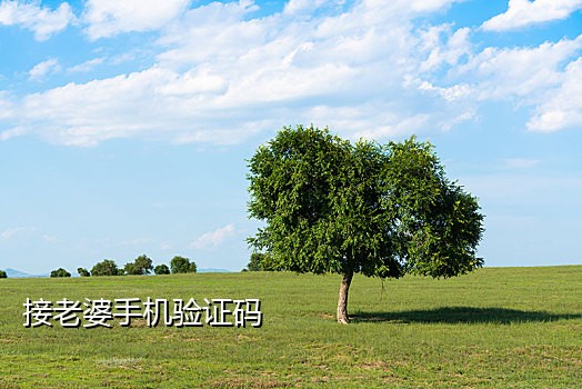 接码短信软件app