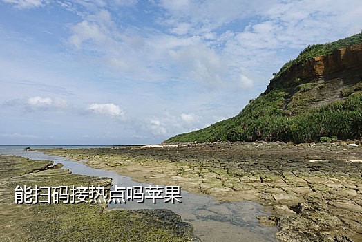 接码短信平台犯罪记录查询