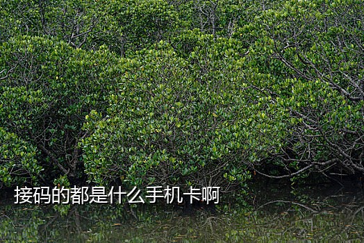 接码快手号激活