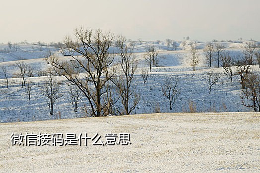 接码 注册  微信