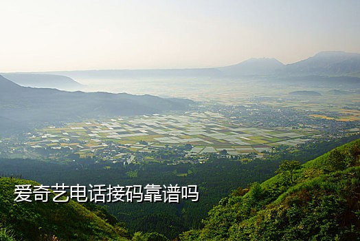 接短信验证码有延迟嘛
