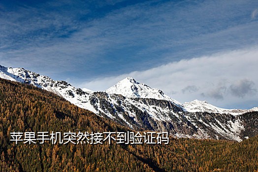 接短信验证码平台