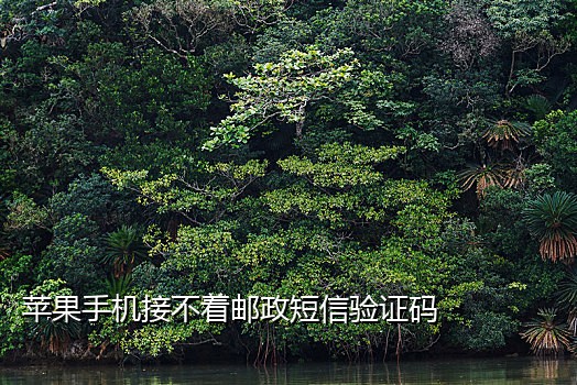 接大陆短信验证码的平台