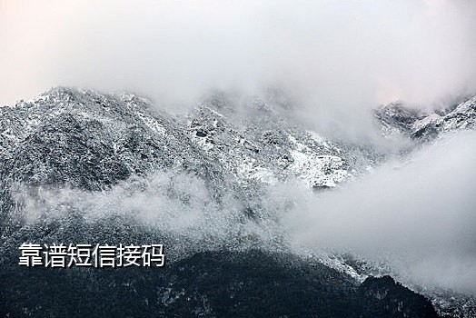 坚果接码app手机版怎么用