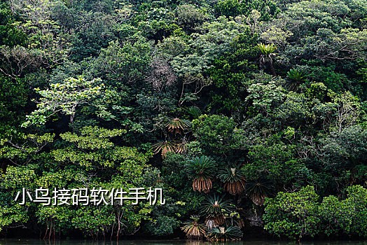 吉林手机号码接码