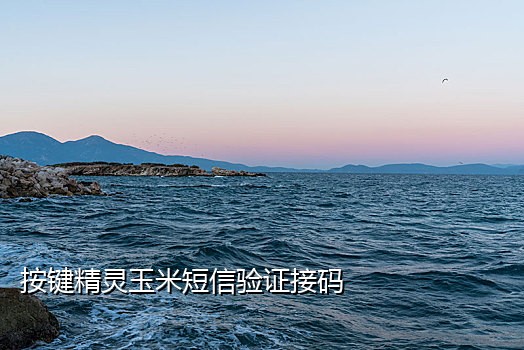 火云手机接码