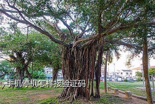 接码盒子怎么注册微信账号