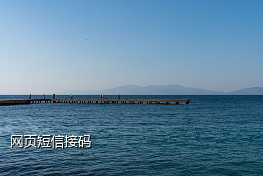 海外手机号码接码平台