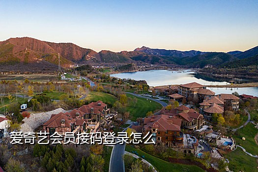 共享手机号接码