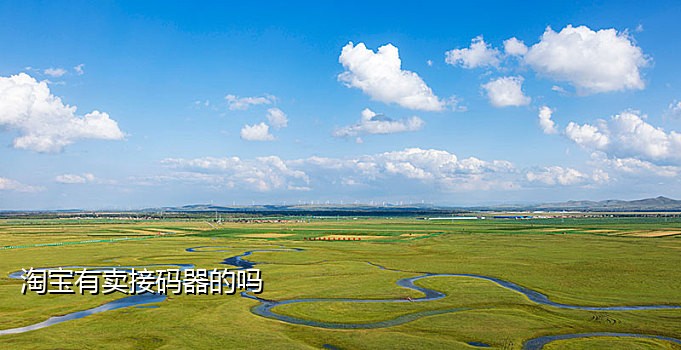 风火云接码手机版下载