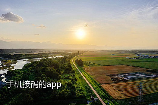 多米短信接码平台