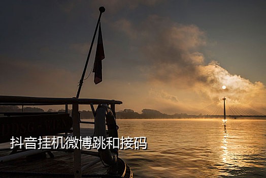 短信接码验证码平台破解版