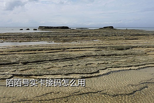短信接码的公众号