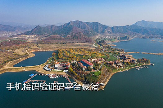 抖音地推接码啥意思