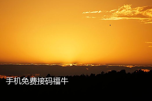 大量手机号接码怎么办