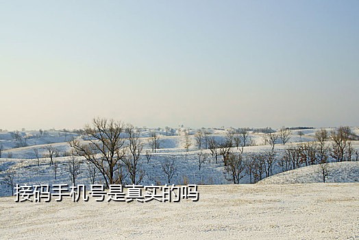 接码短信流程是什么意思