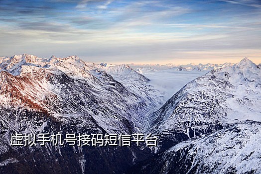 百家号短信接码