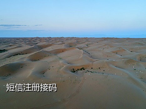 爱码接码手机版