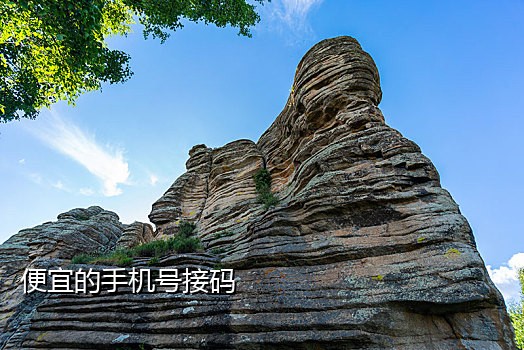 爱乐接码平台手机版