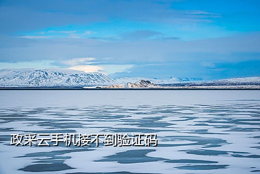 Telegram注册接不到验证码